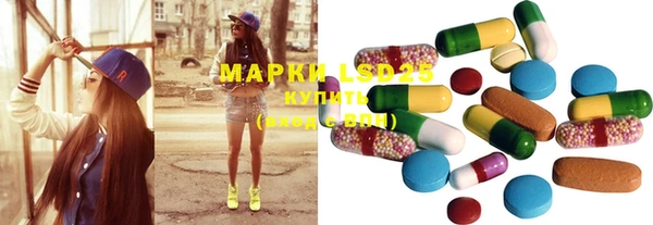 прущие грибы Сосновоборск