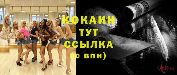 прущие грибы Сосновоборск